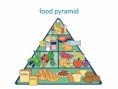 /album/fotogaleria-segundo-periodo/food-pyramid-jpg/